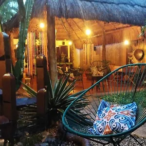 Barrio Latino 3*, Playa del Carmen Mexiko